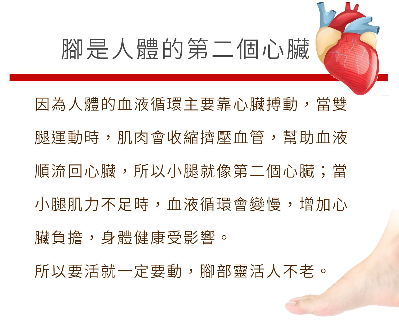 按摩圓點拉筋板